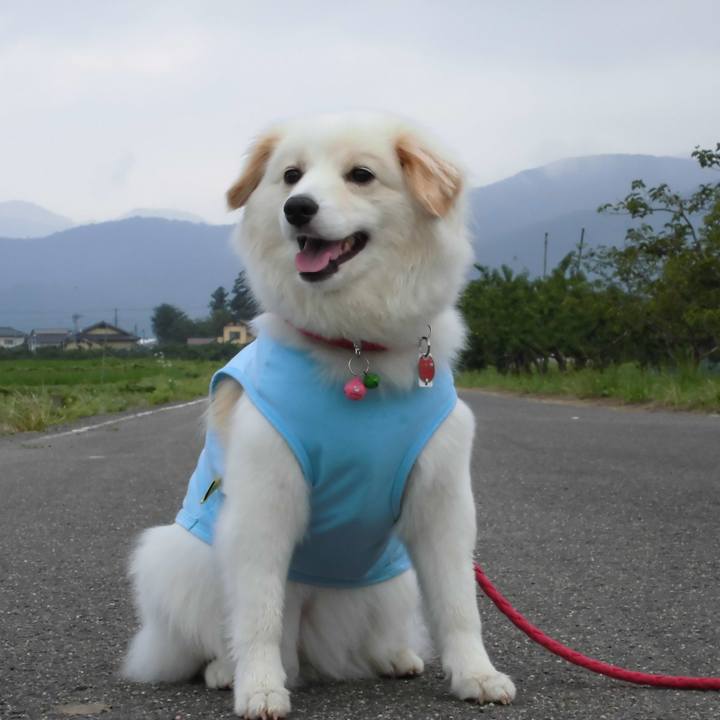 62e98308 cc56 44af b367 66cb0b2301b5