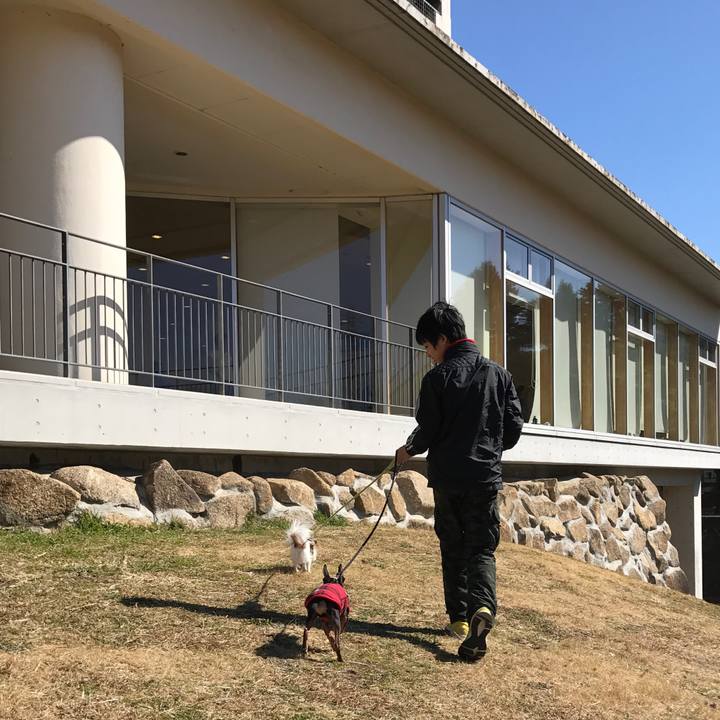 62e9903f f757 41da afa1 b711a9f89e64