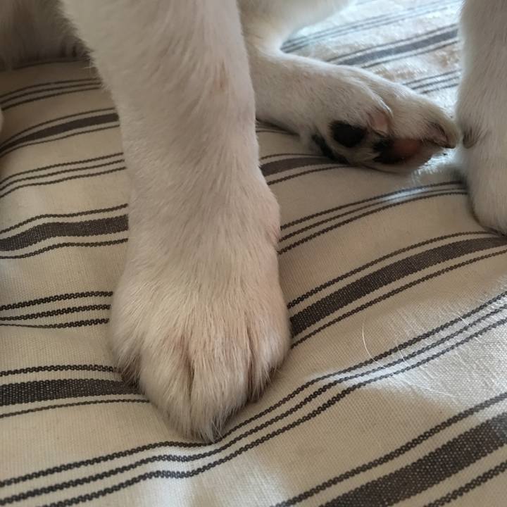 62e99d22 a396 40d0 97c8 5082824cc51e