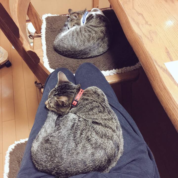 62e9caf6 c819 428d 881c 56f677dbfa69