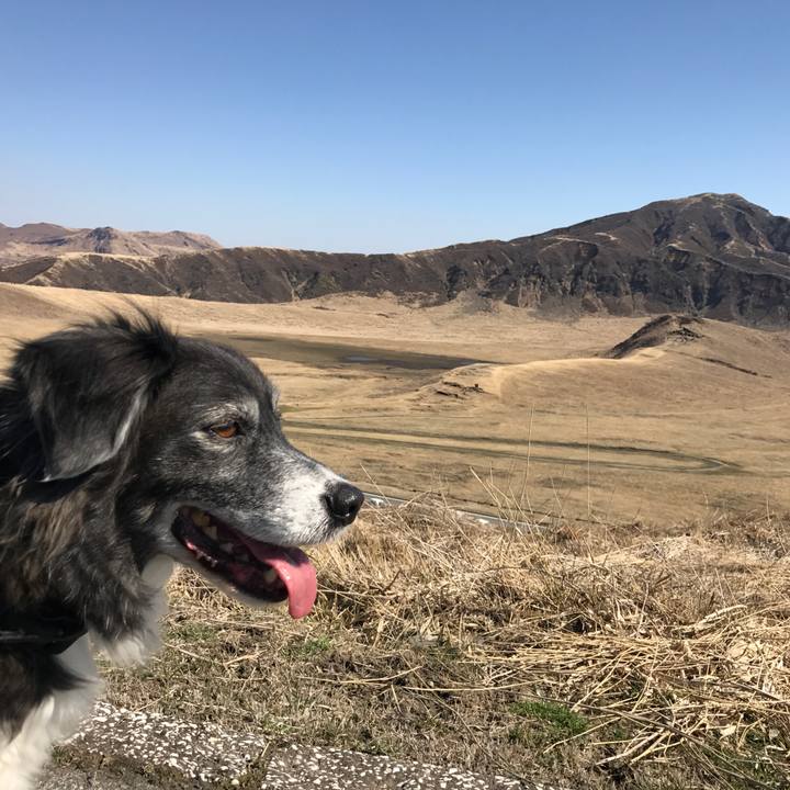 62ea0e3d a1c4 46f5 9f81 f346b1b4e260