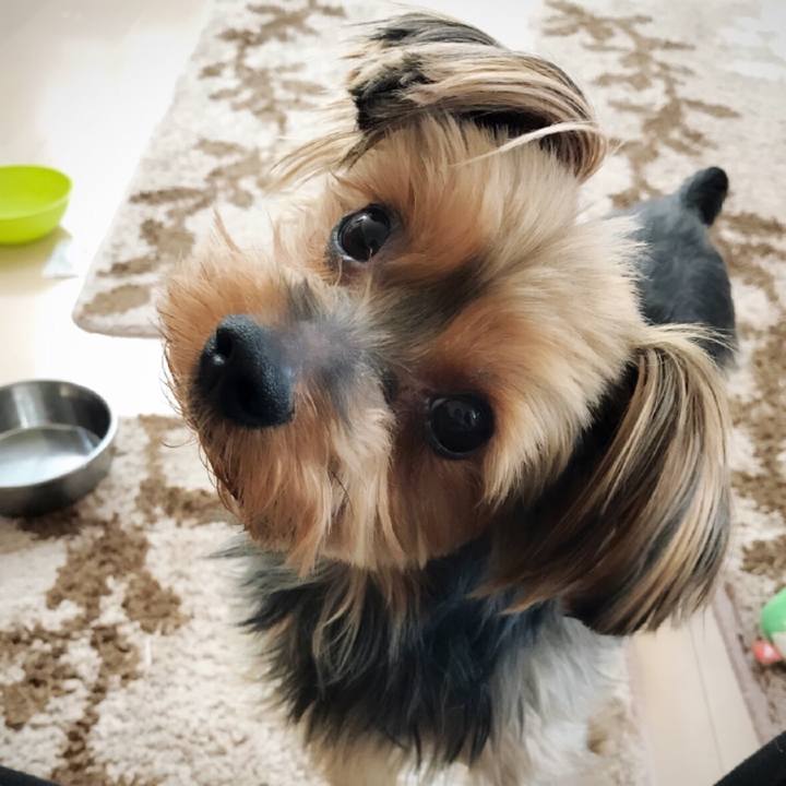 62ea2b2b e151 4255 93d4 1b5346d6edb7