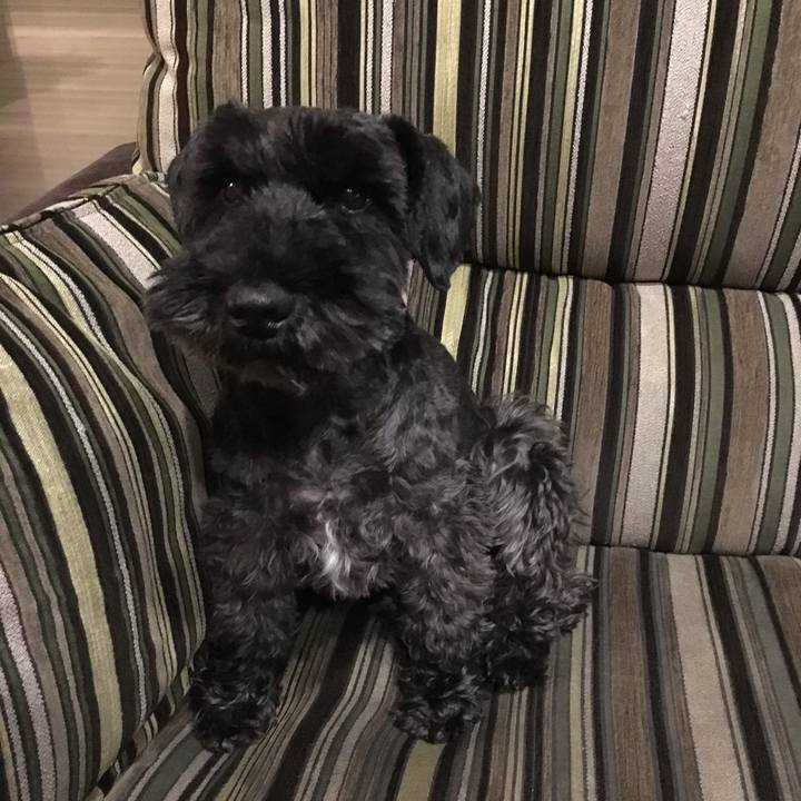 62ea3e12 0815 41c7 a6e6 1f83ab47ada3