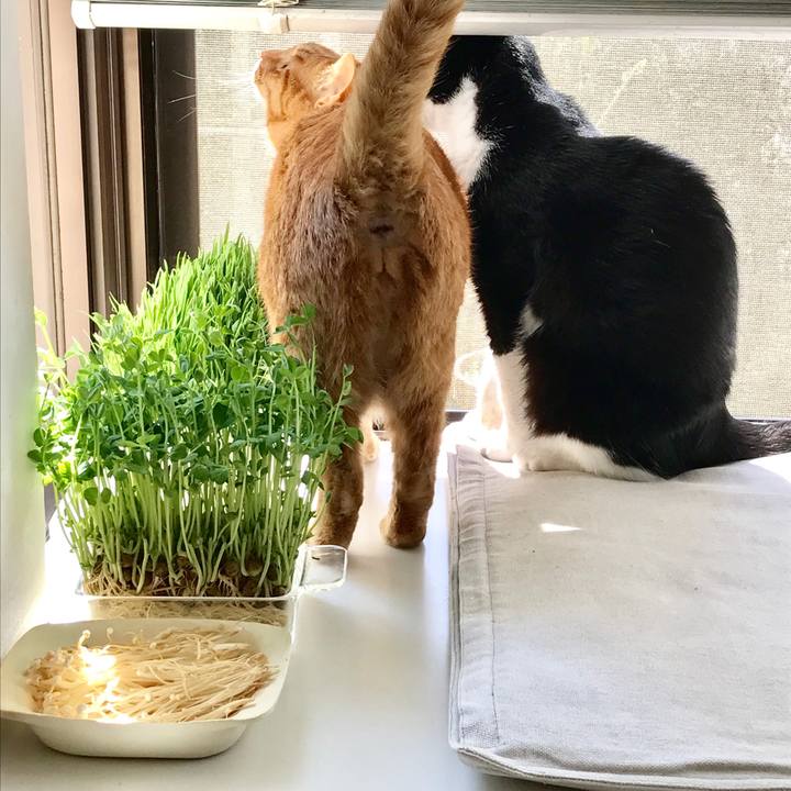 62ea73d5 a300 4831 9bab d4d478a55719