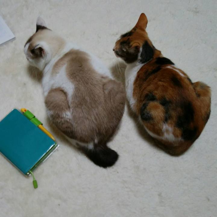 62ea99cf b89c 410b 83cb b60557738f0e