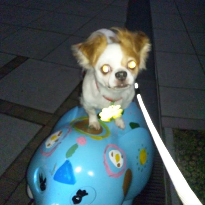 62eade0d 1910 414a b05f 8d2f3343d554