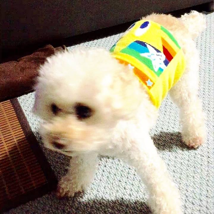 62eafabc 3e08 4376 9fb8 e29230821f05