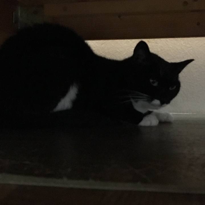 62eb04b1 1532 4496 9cb0 4dd088002628