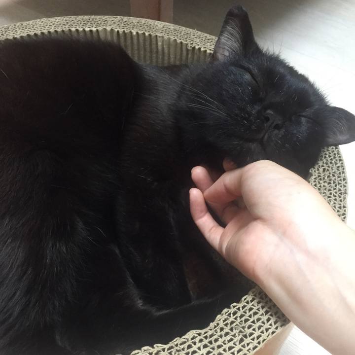 62ebe70b c166 4789 938d a47f294e4b4c