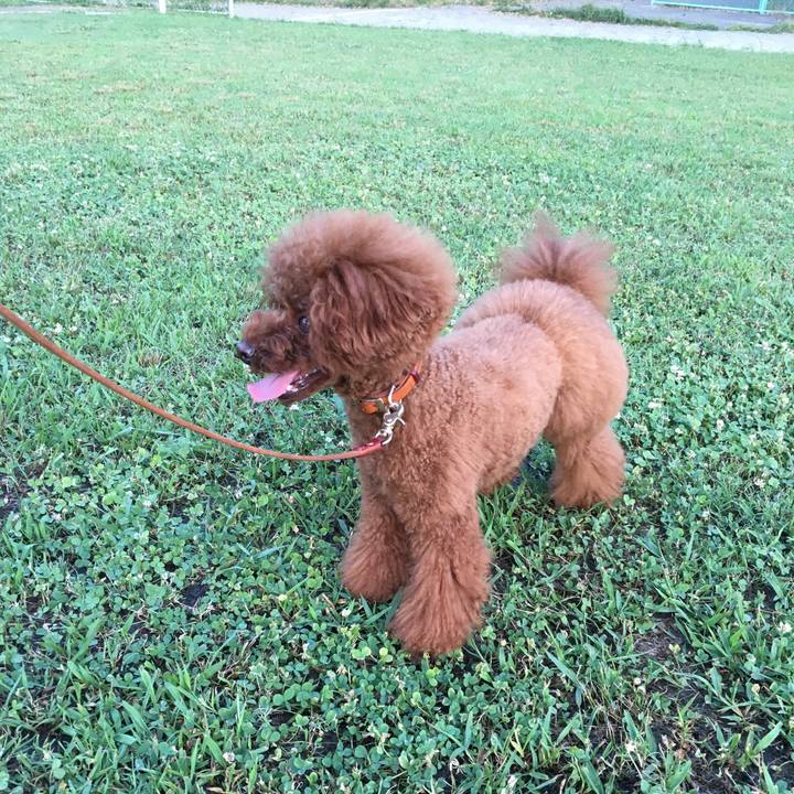 62ec8bf1 5df5 4cb7 9ffd 248c1681977e