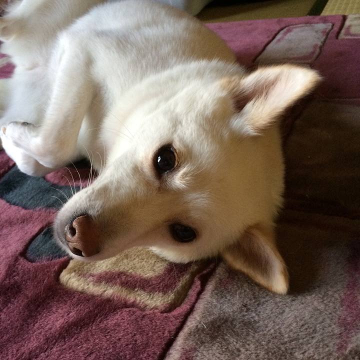 62ecce92 a224 4b7b a135 89b24e85c809