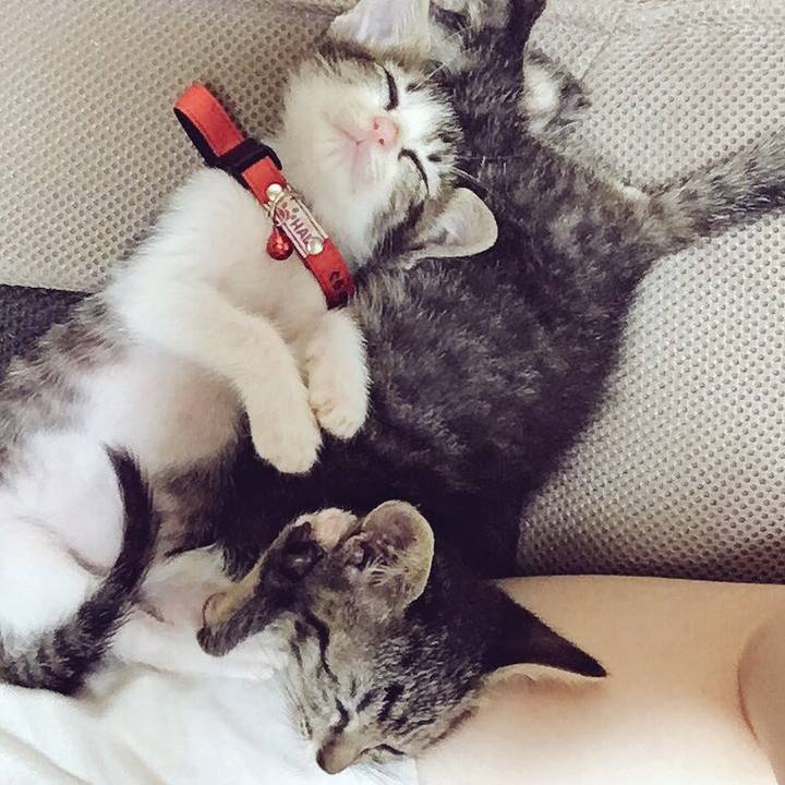 62ed4827 7fbf 49b9 932d 196b8e1565b2