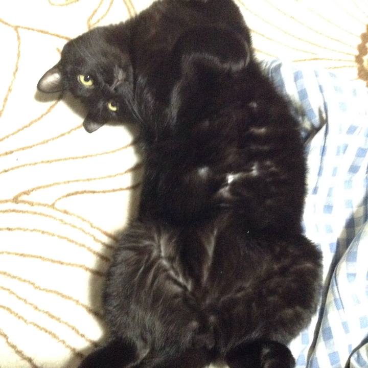 62ed80bf 3cbb 431e ab02 b7cf57f17697