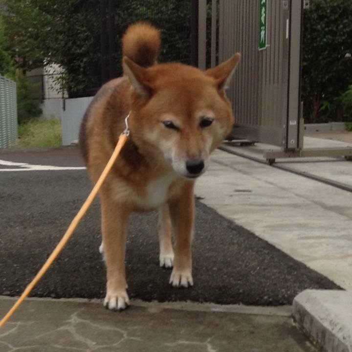 62ef14f9 df32 482a b67b fec09a5cefe4