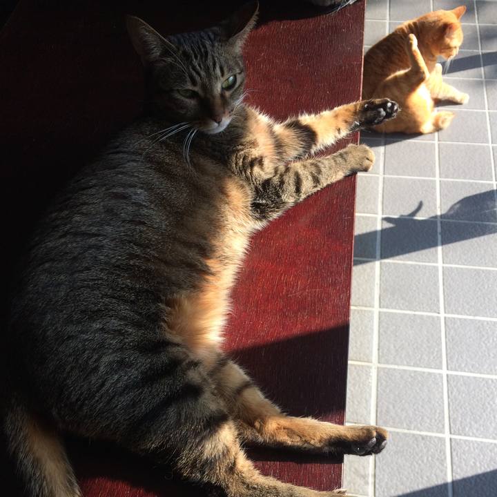 62ef1b54 9dde 46f6 bb8b a7921d84552c