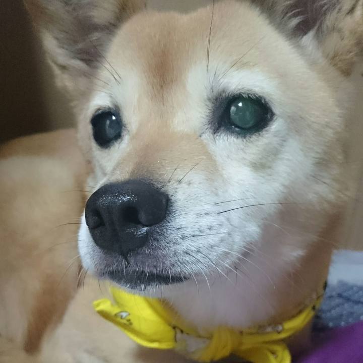 62ef2341 29ba 4173 9de3 15788daae8f2