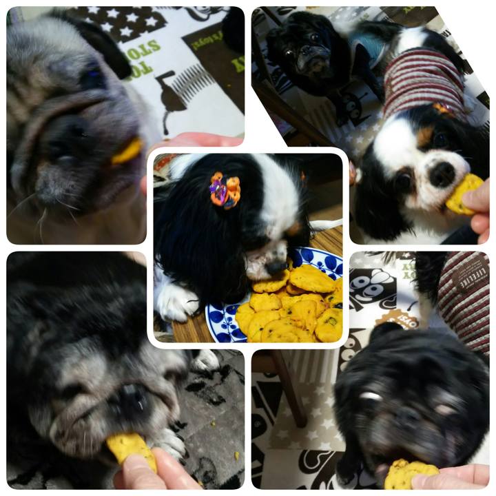 62ef3741 e199 4cd6 915e dc25fa71bb88