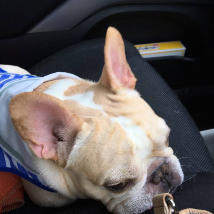 62ef3b98 ce27 4c05 9c96 60e85939b124