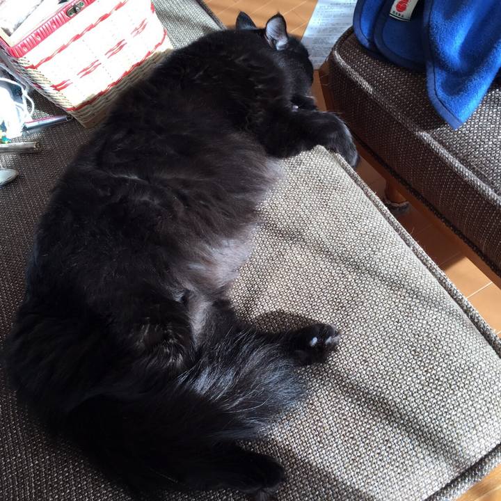 62ef3cf9 ed88 4049 9bda 2f62c0a2dce1