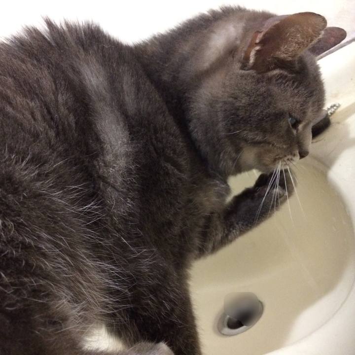 62effbb6 db3f 4616 a747 333f467ce9f3