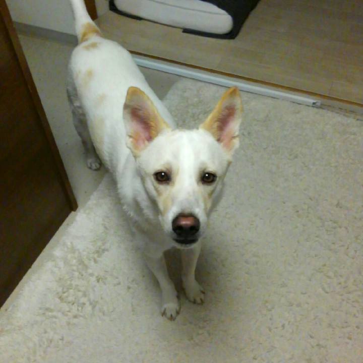 62f03c45 9c08 4d1c 9e2c 39858e193cf3