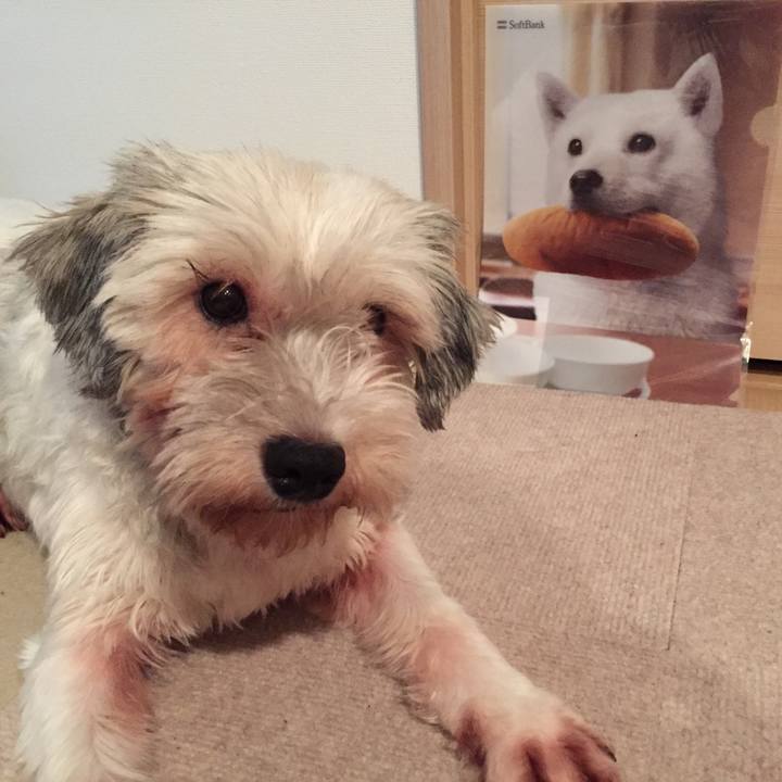 62f0644f 07a6 4074 bc37 e7f51793cf41