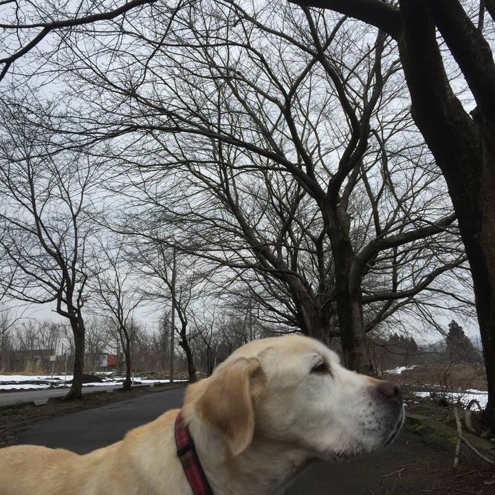 62f0f5d0 189d 4ba4 8af3 31a1c633085d