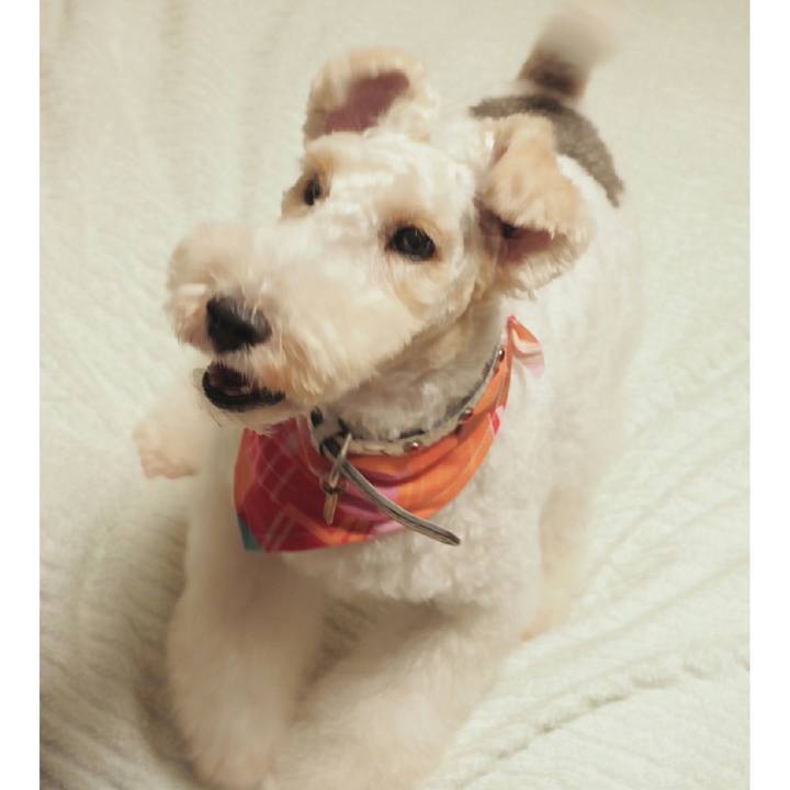 62f13006 5e9b 433f b888 c5f6012e137a