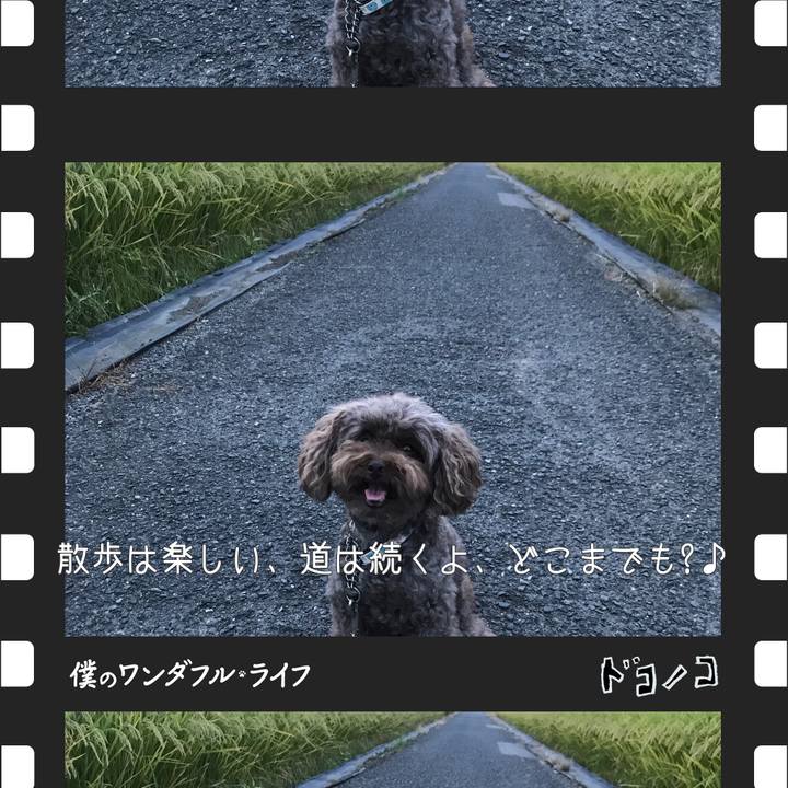 62f14c2f f7ae 40f5 b68c 875a539bf337