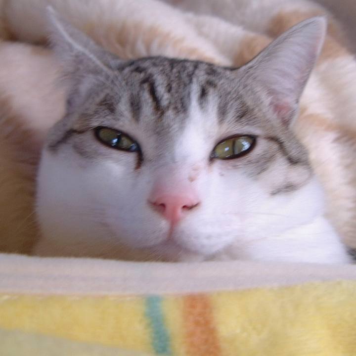 62f17827 8864 4916 a9b4 77184fc7791e