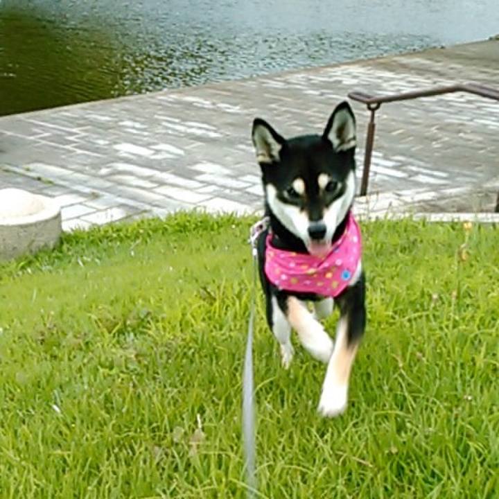 62f1cfb5 e68a 431e 885e ce017136d1be