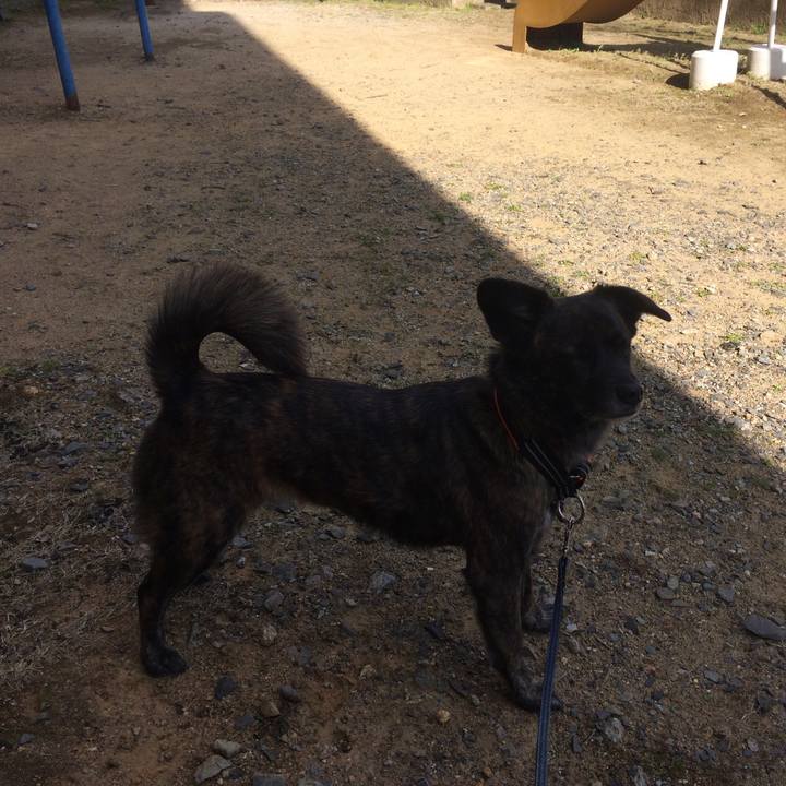 62f27419 6b5e 45b0 8f4d 73dff4ce8c14