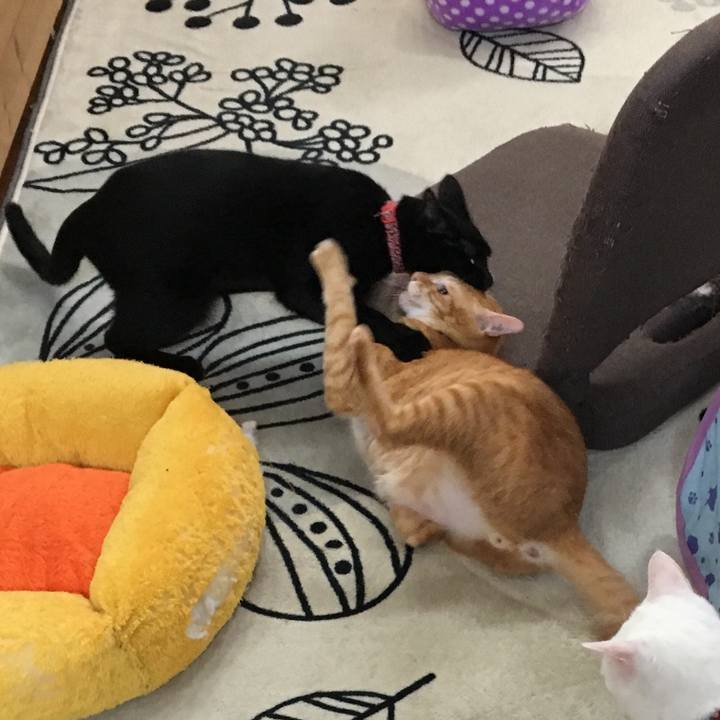 62f2b880 f35f 43e9 b19d f5f1ff2c3ff1