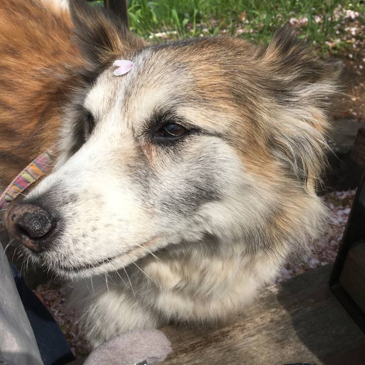 62f40e54 d1e5 4724 8d90 a4f53e02830f