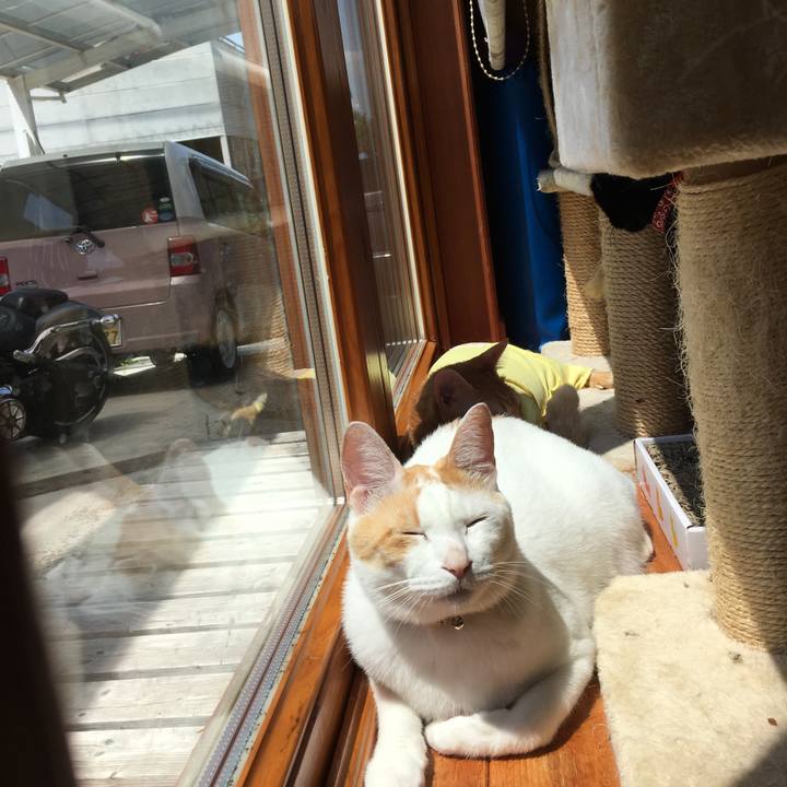 62f4f8b1 b05f 47d7 baa4 a35d4cf885d6