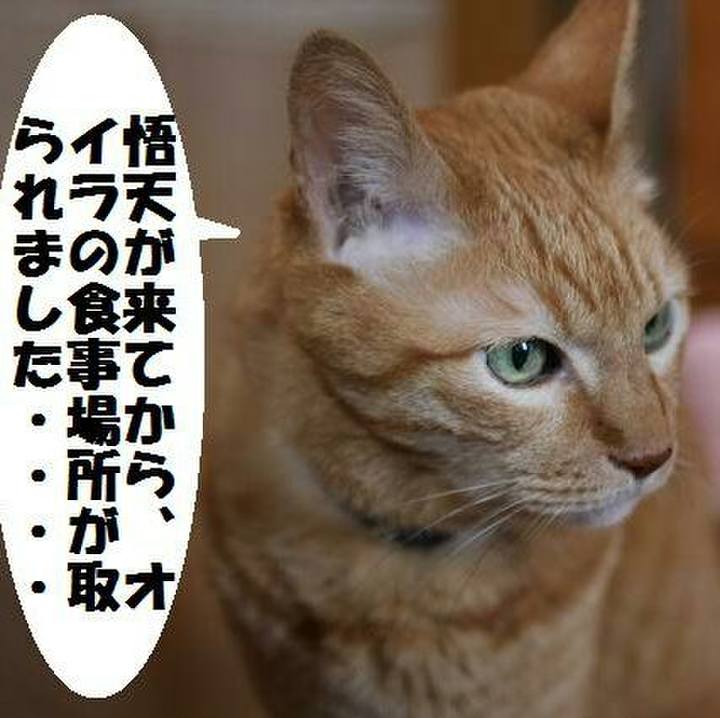 62f5566e c543 4ec9 84aa df59140df334