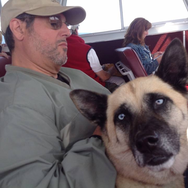 62f588e8 de5d 474f 96b7 cc495fd03dfc