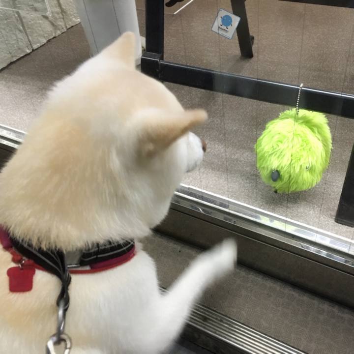 62f5b78f e5d4 4ae3 b294 580d1ce6c0b7