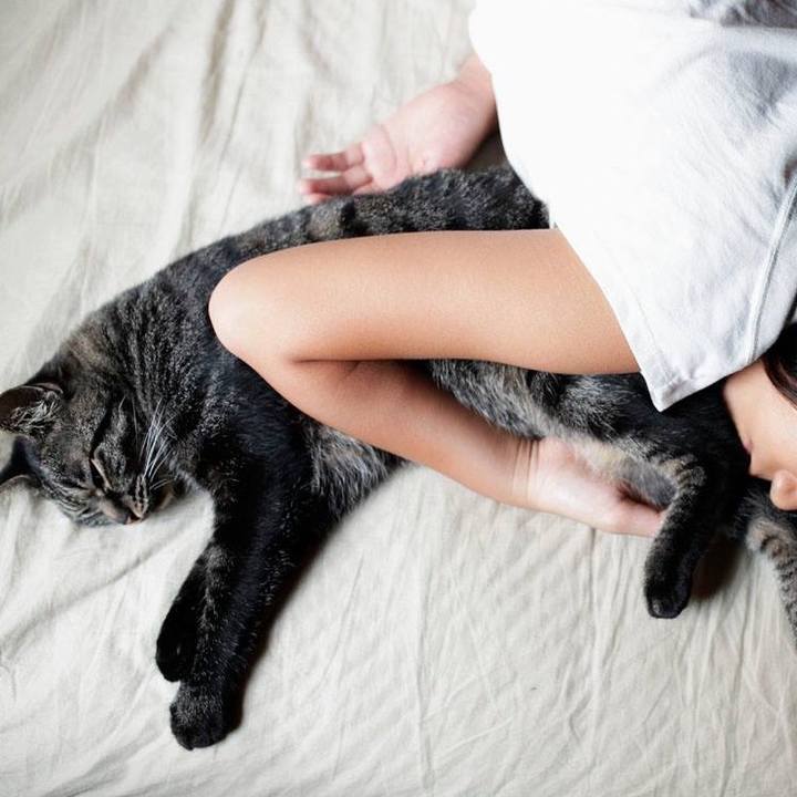 62f6495a 5b6f 4e1a 85df fe54fa9db51a