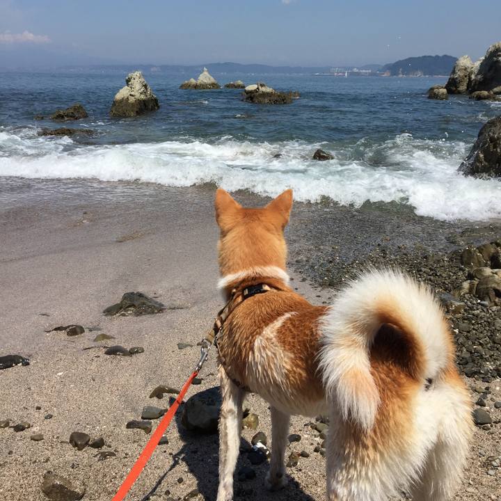 62f6be48 d95d 4da6 8587 50fcc729336e