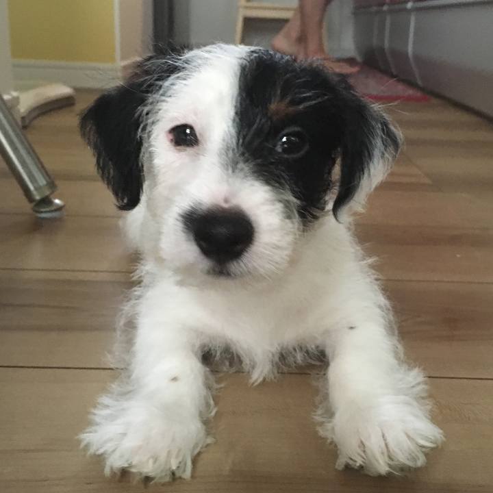 62f714c4 621c 4920 bf46 4db17dafcb9d