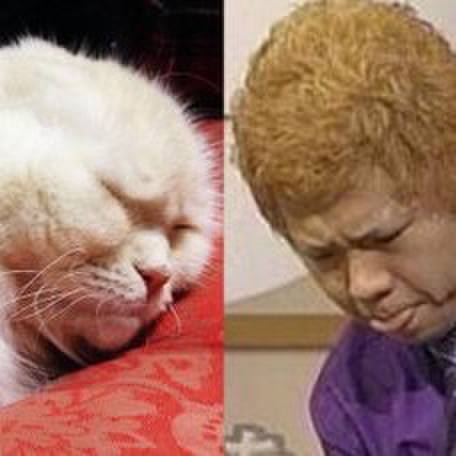 62f78432 9ce6 4bfb 89ad f17e198b13b5