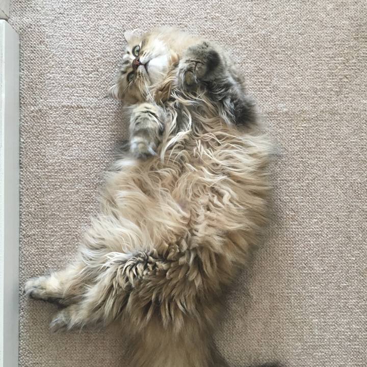 62f8167b 7ba4 4489 9414 2ce4868dbdeb