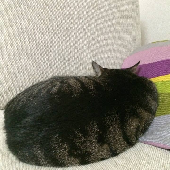 62f915b2 118f 47d4 8e44 34eed184aeab