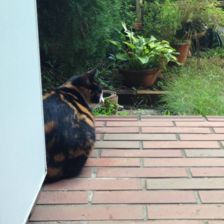 62f9259a aa34 4bf3 a548 557e703e9d90