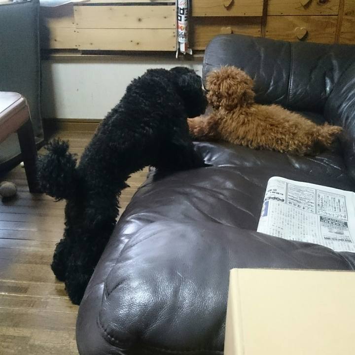 62f964a6 c0e9 4f83 8192 a687af1c6253