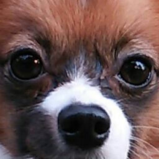 62fa479e 44c1 439d b1f2 0cfe7404aa7c