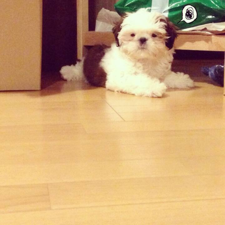 62fac9a7 2dfd 42f9 8de1 826f2237c61c