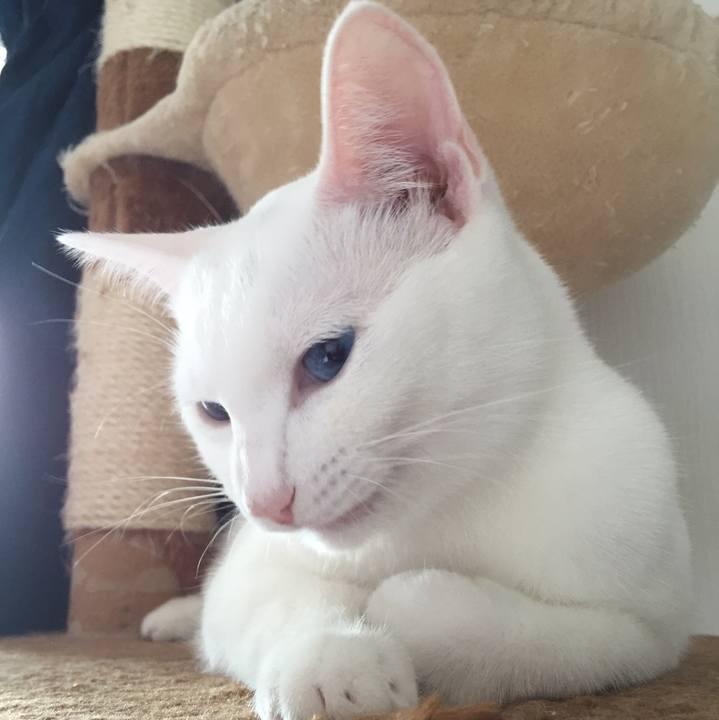 62fb28a0 5bc7 482c 858d acaf6068bf8a