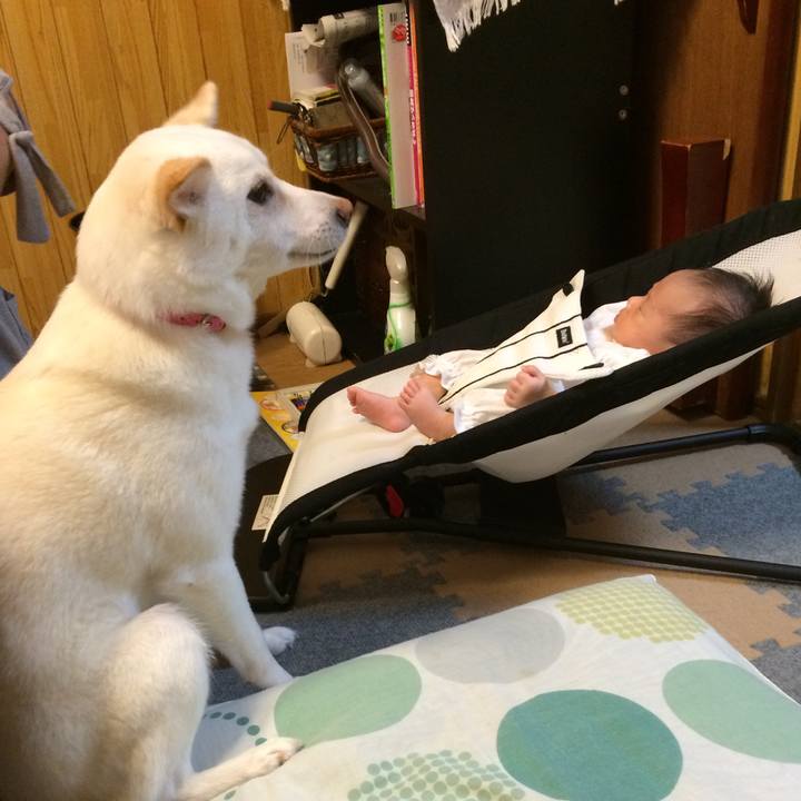 62fb488d 1f1f 4763 adf5 e1a22c7fbe86